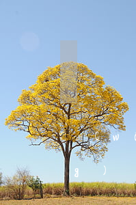 網(wǎng)貸欠幾千算多嗎(網(wǎng)貸欠幾千算多嗎)