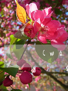網(wǎng)貸欠幾年不催收(網(wǎng)貸欠一年多了現(xiàn)在沒(méi)催收了)