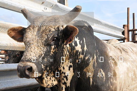 網(wǎng)貸欠幾年了(網(wǎng)貸欠幾年了他找到了我的公司)