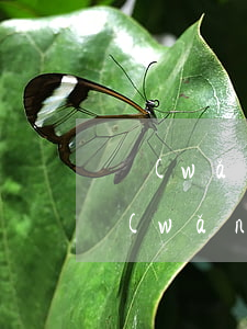 網(wǎng)貸欠幾百塊一直催怎么辦(網(wǎng)貸欠幾百塊一直催怎么辦)