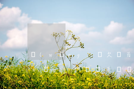 網(wǎng)貸欠幾百塊上征信3年(網(wǎng)貸幾千塊會上征信嗎)