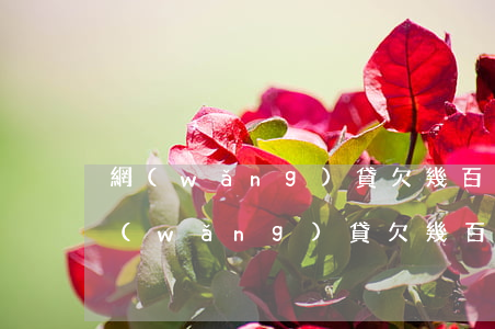 網(wǎng)貸欠幾百塊上征信嚴重嗎(網(wǎng)貸欠幾百塊錢上征信嗎)