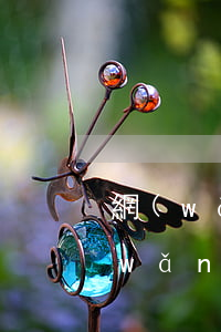 網(wǎng)貸欠幾百塊錢能起訴嗎(網(wǎng)貸幾千塊錢會起訴嗎)