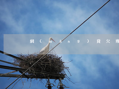 網(wǎng)貸欠幾百塊錢逾期11天
