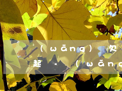 網(wǎng)貸欠幾百塊錢逾期會不會被起訴-網(wǎng)貸欠幾百塊錢逾期會不會被起訴呢