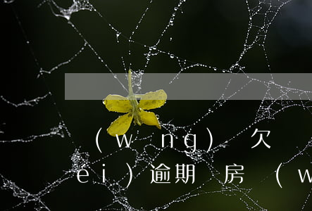 網(wǎng)貸欠幾萬(wàn) 沒(méi)逾期買房(網(wǎng)貸欠了好幾萬(wàn)還能買房嗎)