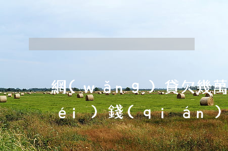 網(wǎng)貸欠幾萬(wàn)沒(méi)錢(qián)還怎么辦(那些欠了網(wǎng)貸十幾萬(wàn)沒(méi)錢(qián)還的最后怎么樣了)