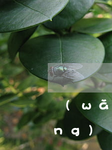 網(wǎng)貸欠幾萬怎么處理(網(wǎng)貸欠款幾十萬怎么辦)