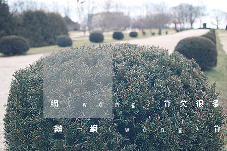 網(wǎng)貸欠很多家人都不知道怎么辦-網(wǎng)貸欠很多家人都不知道怎么辦呢