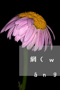 網(wǎng)貸欠很多怎么處理(欠網(wǎng)貸欠太多最好處理辦法)