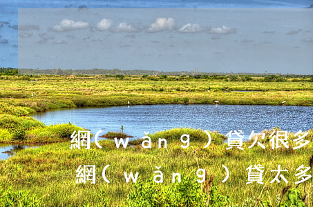網(wǎng)貸欠很多錢還不上怎么辦(欠網(wǎng)貸太多還不上怎么辦)