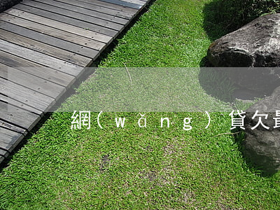 網(wǎng)貸欠最多的人