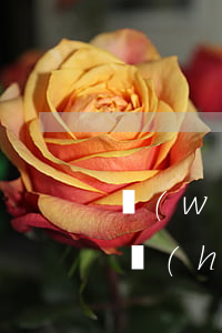 網(wǎng)貸欠本金一萬(wàn)多會(huì)坐牢嗎(網(wǎng)貸本金欠多少會(huì)被起訴)