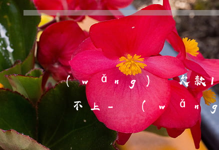 網(wǎng)貸欠款100萬(wàn)還不上-網(wǎng)貸欠款100萬(wàn)還不上怎么辦