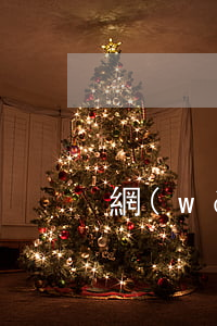 網(wǎng)貸欠款20萬沒能力還了
