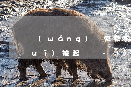 網(wǎng)貸欠款不到5000會(huì)被起訴嗎-網(wǎng)貸欠款不到5000會(huì)被起訴嗎知乎