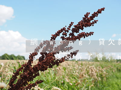 網(wǎng)貸欠款唄起訴 欠網(wǎng)貸起訴了會(huì)怎么樣