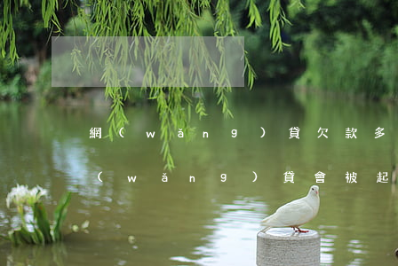 網(wǎng)貸欠款多久會被起訴(欠了網(wǎng)貸會被起訴嗎)