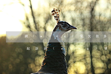 網(wǎng)貸欠款多少會(huì)被起訴(網(wǎng)貸欠了多少會(huì)被起訴)