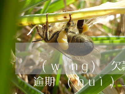網(wǎng)貸欠款多少錢內(nèi)逾期會(huì)上門要嗎(網(wǎng)貸欠款多少錢內(nèi)逾期會(huì)上門要嗎)