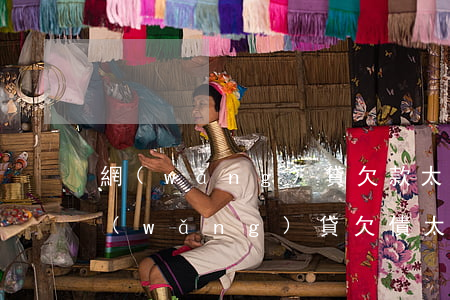 網(wǎng)貸欠款太多如何走出困境（網(wǎng)貸欠債太多了怎么辦）