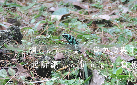 網(wǎng)貸欠款幾千會(huì)被起訴(網(wǎng)貸幾千會(huì)被法院起訴嗎)