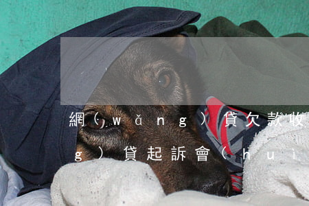 網(wǎng)貸欠款收到起訴 網(wǎng)貸起訴會(huì)收到法院傳票嗎