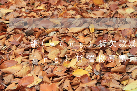 網(wǎng)貸欠款暴力催收辱罵(網(wǎng)貸催收辱罵可以要求賠償嗎)