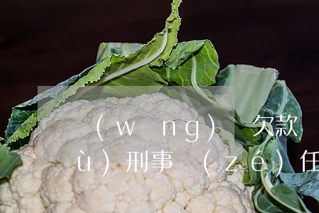 網(wǎng)貸欠款會(huì)負(fù)刑事責(zé)任嗎