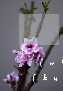網(wǎng)貸欠款無(wú)力償還會(huì)被強(qiáng)制執(zhí)行嗎-網(wǎng)貸欠款無(wú)力償還會(huì)被強(qiáng)制執(zhí)行嗎知乎