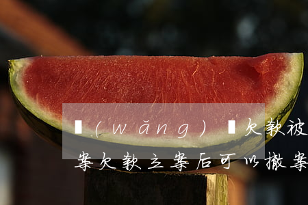 網(wǎng)貸欠款被立案還款后怎么撤案(欠款立案后可以撤案嗎)