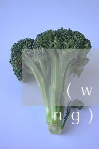 網(wǎng)貸欠款被起訴流程 網(wǎng)貸欠款被起訴流程怎么辦