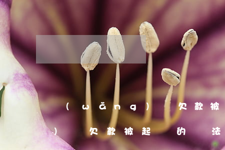 網(wǎng)貸欠款被起訴(網(wǎng)貸欠款被起訴的話法院如何通知)
