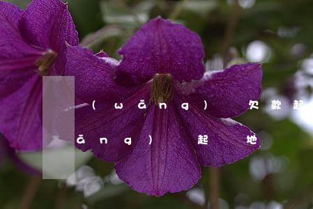 網(wǎng)貸欠款起訴地是哪-網(wǎng)貸起訴地點