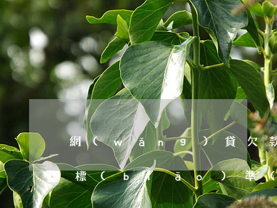 網(wǎng)貸欠款起訴費(fèi)用標(biāo)準(zhǔn)(網(wǎng)貸起訴欠錢(qián)不還的程序和費(fèi)用)