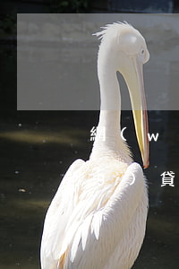 網(wǎng)貸欠款逾期3年(網(wǎng)貸逾期3年的后果如何?)