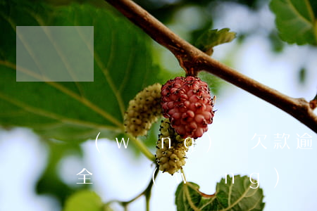 網(wǎng)貸欠款逾期多少才會被起訴（全國網(wǎng)貸逾期有多少人給起訴了）