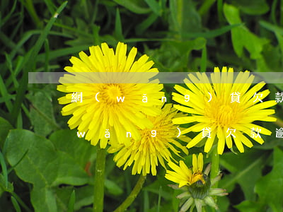 網(wǎng)貸欠款逾期就是違法嗎(網(wǎng)貸欠款逾期犯法嗎)