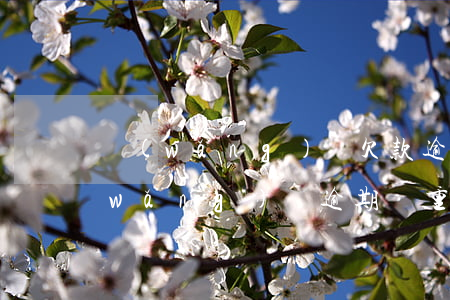 網(wǎng)貸欠款逾期影響高速嗎(網(wǎng)貸逾期嚴重嗎)