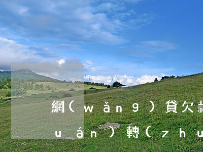 網(wǎng)貸欠款逾期為什么債權(quán)轉(zhuǎn)讓
