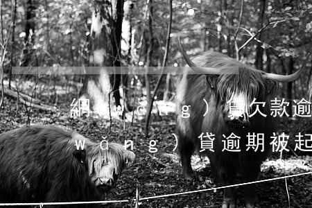 網(wǎng)貸欠款逾期被起訴后果（網(wǎng)貸逾期被起訴的案例）