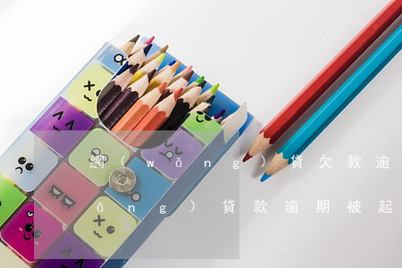 網(wǎng)貸欠款逾期起訴流程(網(wǎng)貸款逾期被起訴立案后怎么解決)