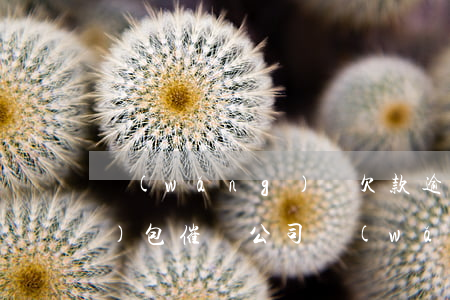 網(wǎng)貸欠款逾期轉(zhuǎn)包催債公司(網(wǎng)貸逾期債務(wù)委托)