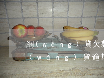 網(wǎng)貸欠款逾期還不上怎么辦(網(wǎng)貸逾期了還不上)