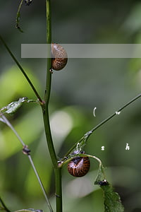 網(wǎng)貸欠款長(zhǎng)時(shí)間逾期被起訴怎么辦 欠網(wǎng)貸逾期被起訴怎么應(yīng)對(duì)