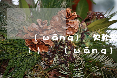 網(wǎng)貸欠款需支付逾期費(fèi)嗎(網(wǎng)貸逾期費(fèi)用)