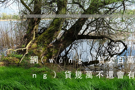 網(wǎng)貸欠百萬的后果(欠網(wǎng)貸幾萬不還會有什么后果)
