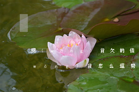 網(wǎng)貸欠的債該怎么還清(欠網(wǎng)貸怎么還努力還清)