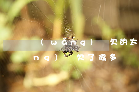 網(wǎng)貸欠的太多了 想死(網(wǎng)貸欠了很多)