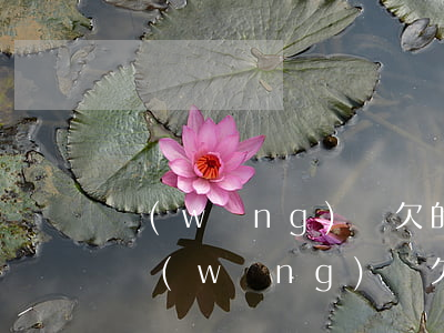 網(wǎng)貸欠的比較少不還會怎么樣(網(wǎng)貸欠款不還會怎么樣)
